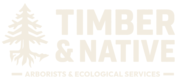 Timber & Native full lockup, cream on charcoal