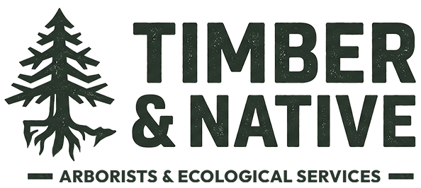 Timber & Native - MN Arborist & Ecological Services